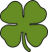 4 leaf clover