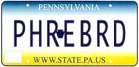 plate number 4